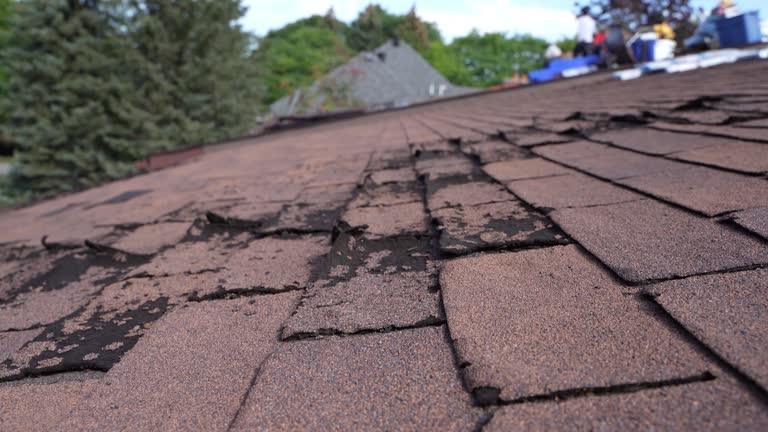 Best Chimney Flashing Repair  in Holden, MO